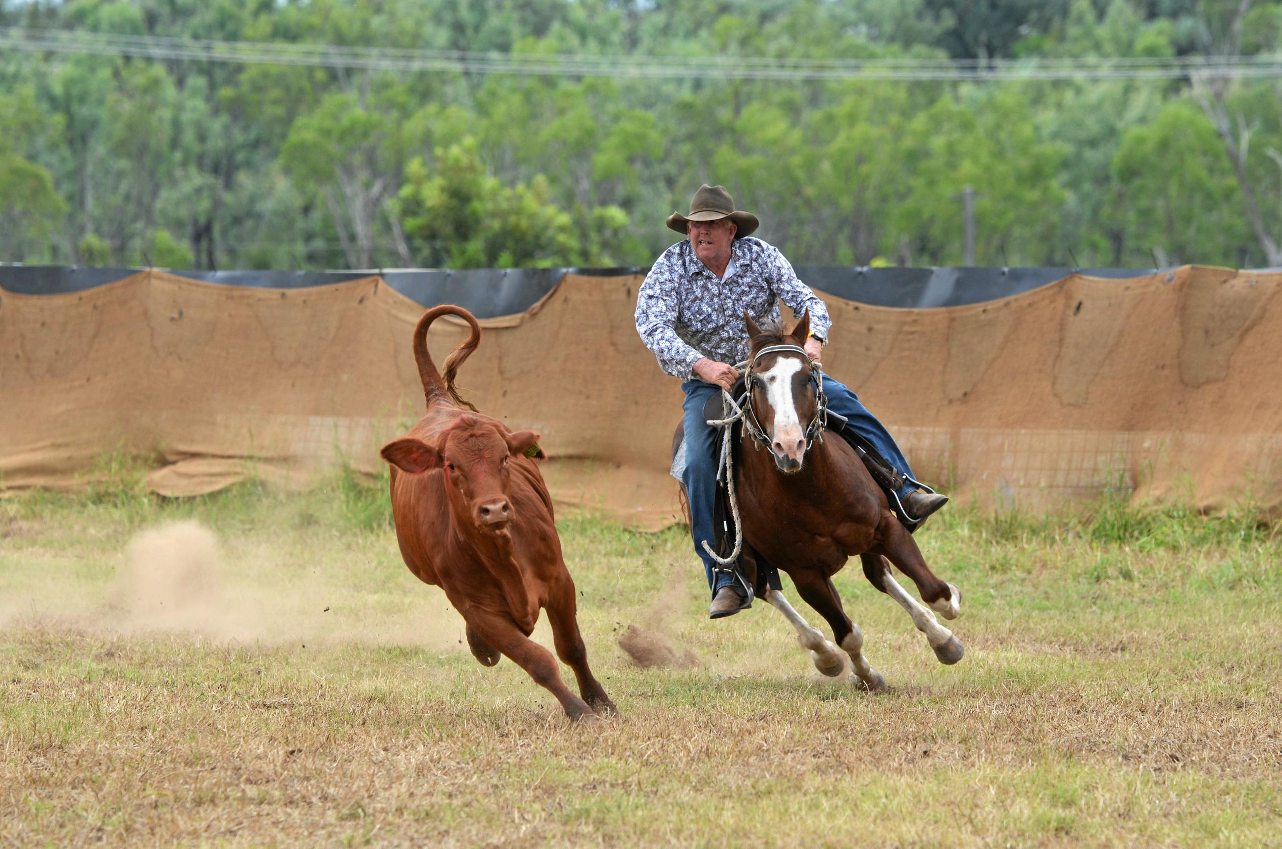 Mundubbera campdrafting | The Courier Mail