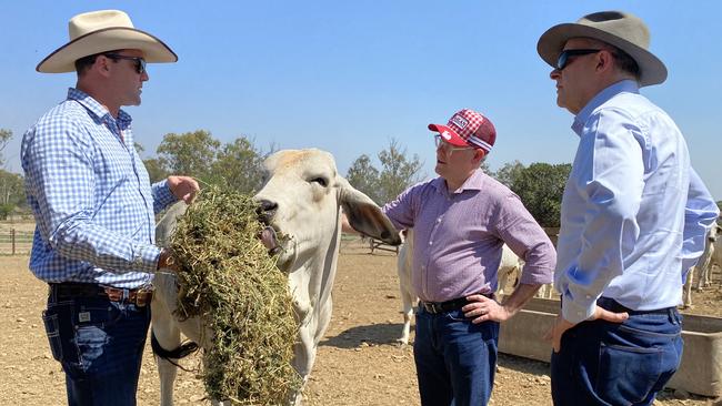 Raglan Station is known in Central Queensland for its contributions to live export, which is a key part of Australia’s cattle industry.