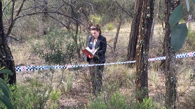 NSW Police detectives at the site where Carly McBride's remains were discovered near Scone.