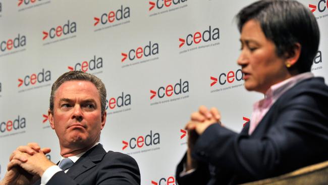 Christopher Pyne and Penny Wong.