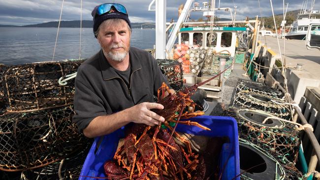 ‘This could ruin businesses’ … Tasmanian Rock Lobster Fishermen’s Association president Clive Perryman at Margate. Picture: Peter Mathew