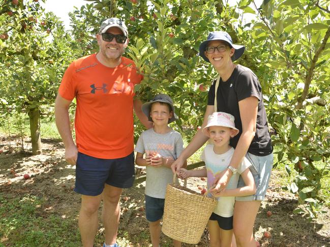 Family fun day for (from left) Daniel, David, Robin and Kate and Nicoletti Orchards 'pick your own' event during Stanthorpe's Apple and Grape Harvest Festival on Saturday, March 2, 2024. Photo: Jessica Klein