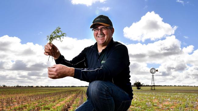 John Gladigau, pictured in July 2019 with a chickpea crop, has been through four droughts in five years. This season is an opportunity for his business to get back on its feet. Picture: Tricia Watkinson