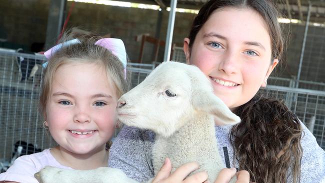 Arabella, 7, and Mia McCabe, 11, got to see some animals in the petting area they’d never seen before. Photo by Richard Gosling