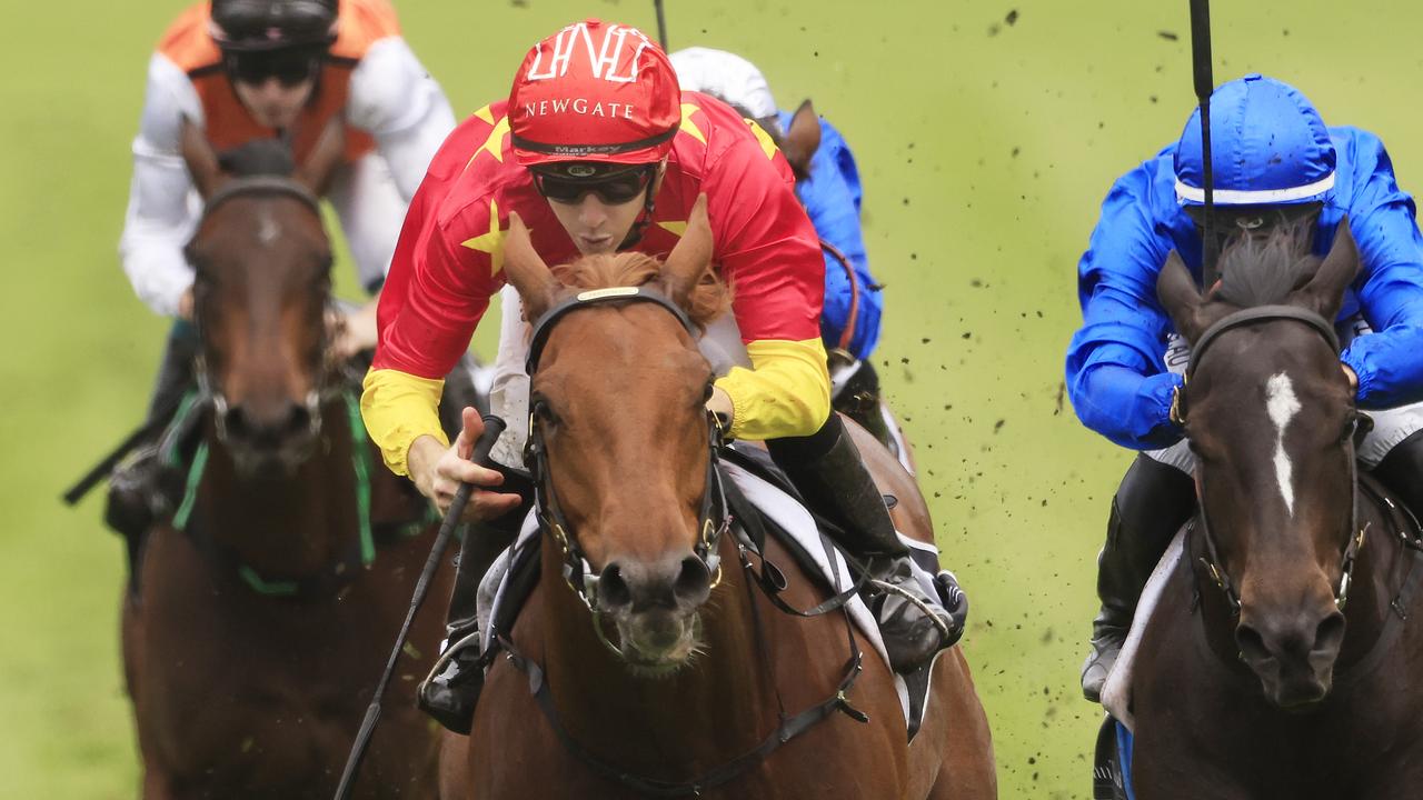 Tiger Of Malay will carry 61kg when he resumes in the Up And Coming Stakes at Kembla Grange. Picture: Getty Images