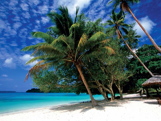 27/04/2009 LIBRARY: Undated : palm trees on a Vanuatu beach. Could be used as a generic photo of Fiji, Vanuatu, Samoa, Cook or Solomon Islands MM259892