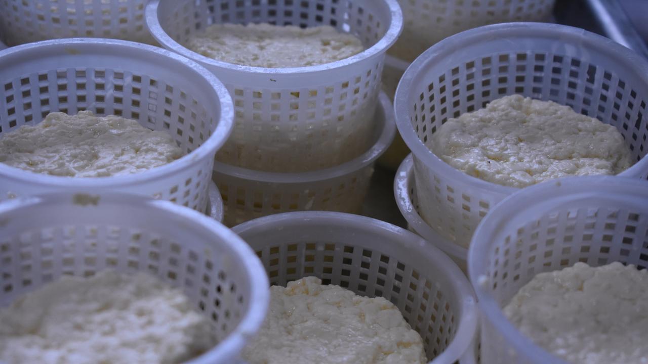 Mini pots of feta cheese at a Habana cheesemaking class. Photo: Janessa Ekert