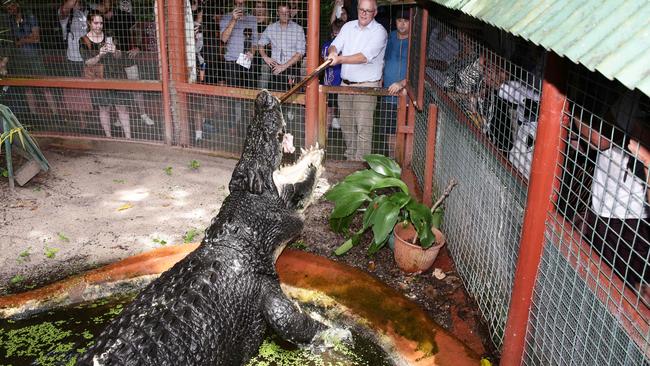 Former Prime Minister Scott Morrison feeds chicken to Cassius, the largest saltwater crocodile in captivity at 5 metres long. Picture: Brendan Radke