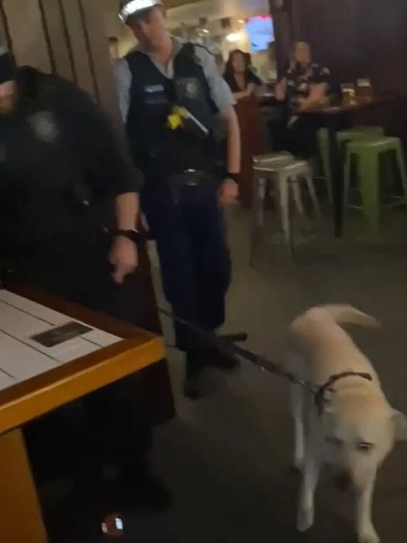 Patrons were annoyed police were able to bring sniffer dogs into the venue. Picture: Reddit.