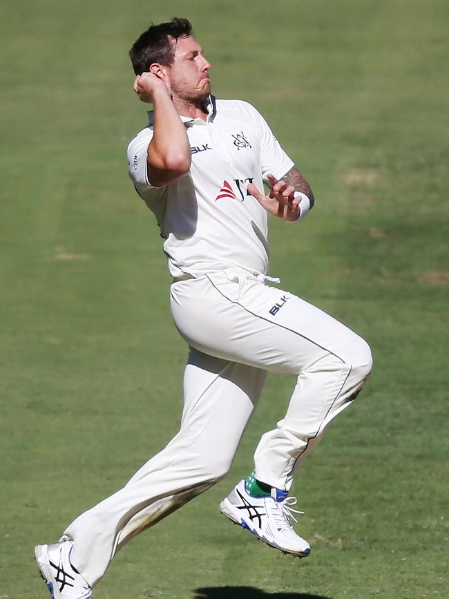 Australia could certainly do with his talents. (Michael Dodge/Getty Images)