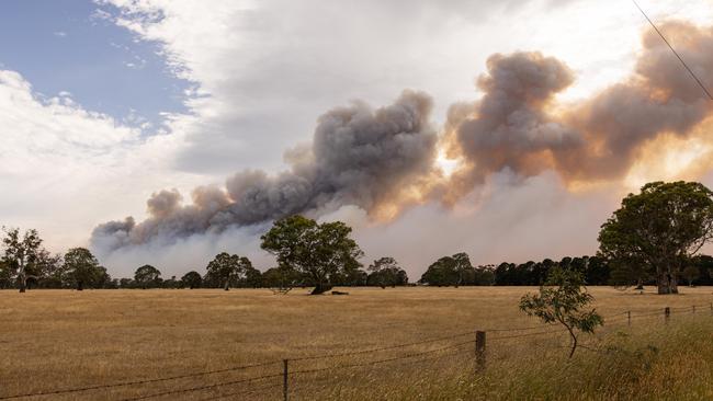 Tens of thousands of hectares have been burnt at the Grampians. Picture: NewsWire / Diego Fedele