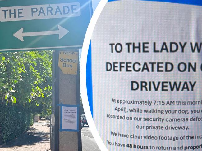 driveway defecator art work for tiser