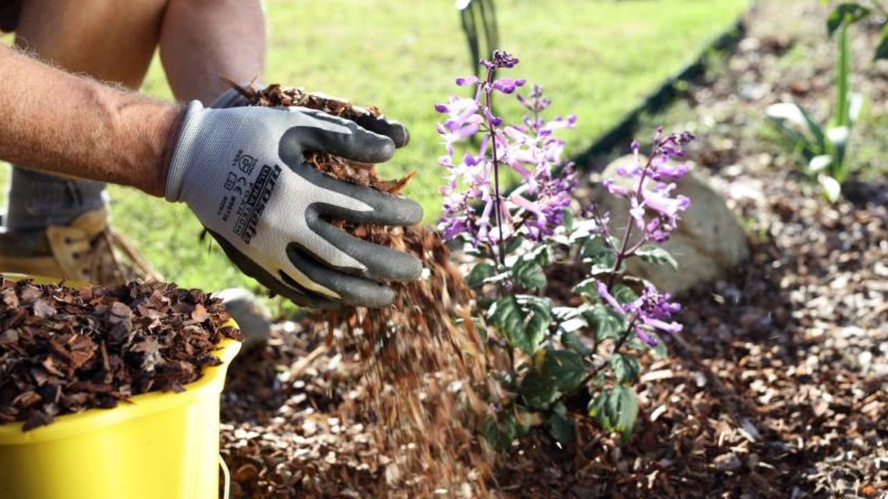 Experts are warning homeowners that they could face thousands in damage unless they make informed planting choices. Source: Unitywater