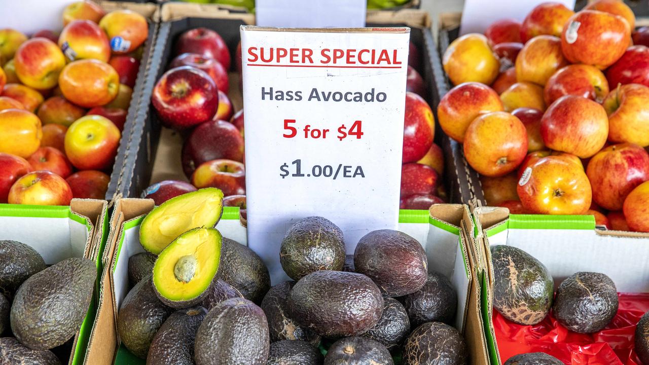 A massive avocado oversupply means farmers are struggling to offload their fruit for a decent price, with several having to dump their crops or risk their produce withering on the tree until demand improves. Picture: Richard Walker