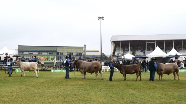 The Nutrien Ag Solutions Stud Cattle Parade of Champions at Beef Australia 2024. Picture: Aden Stokes