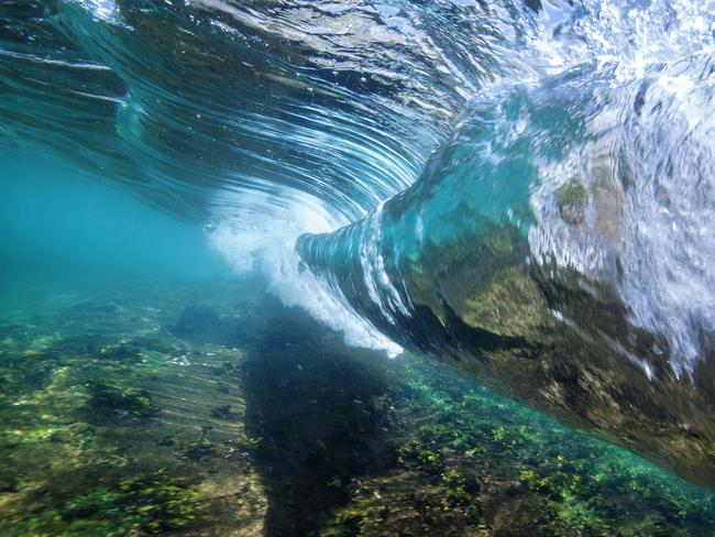 Beauty underwater off Bondi | Daily Telegraph