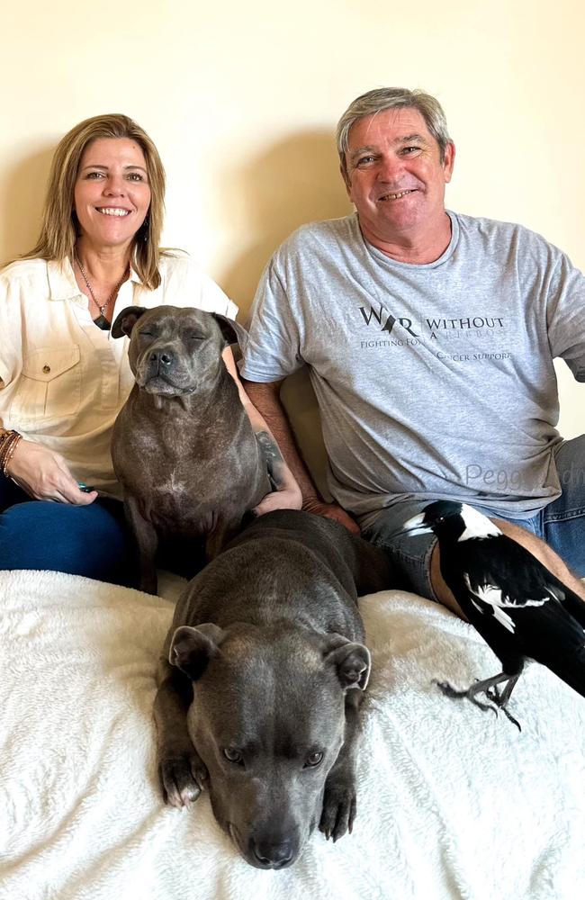 Molly returned home to the Gold Coast and was reunited with his human carers and Staffy friends on Monday. Picture: Facebook / Peggy and Molly.