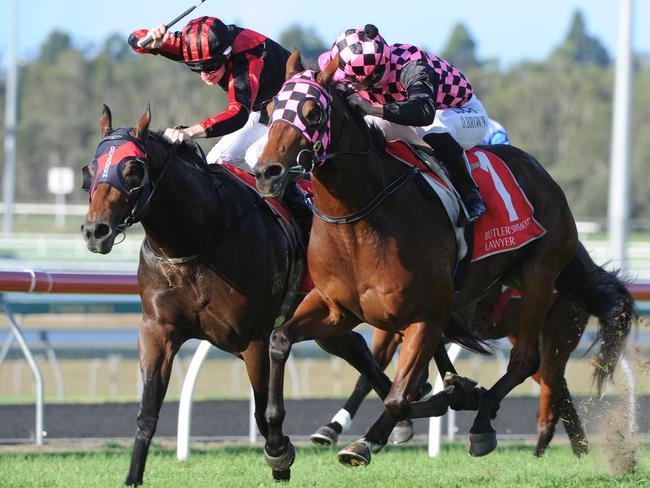 Hopfgarten (right) finishes strongly to win the Ascot Handicap at the Sunshine Coast. Picture: Grant Peters, Trackside Photography