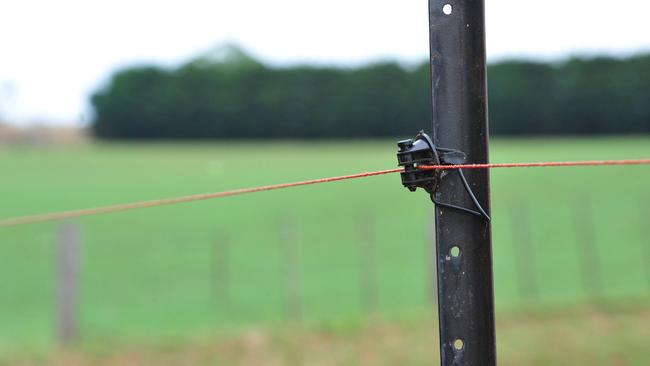 One wire electric clearance fence