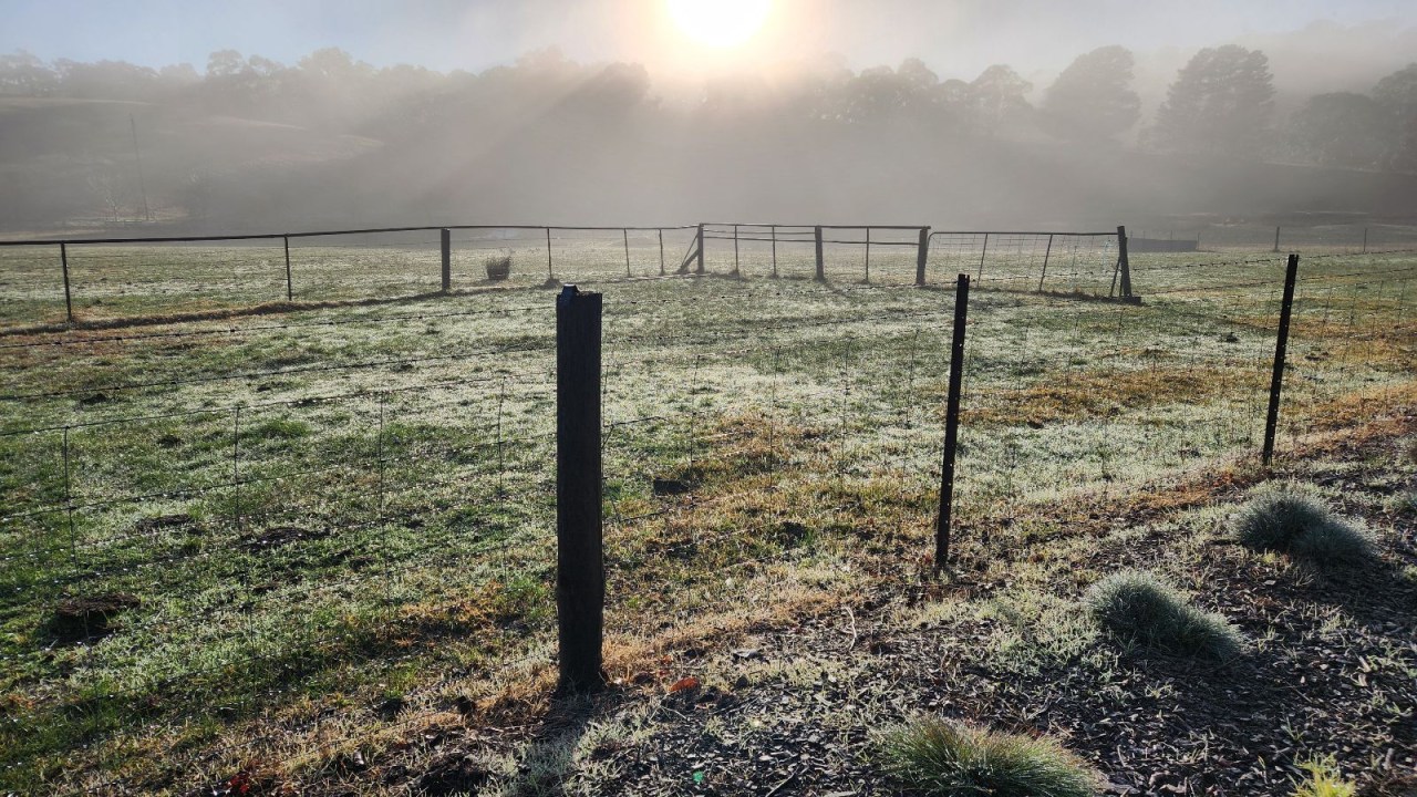 City shivers through coldest morning in years, BoM reveals shock weather data