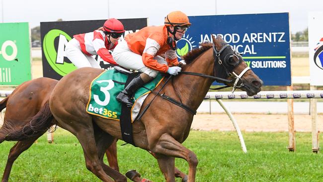 Miss Cheviots wins at Swan Hill last year. The Austy Coffey-trained mare looks over the odds in the last at Horsham today. Picture: Pat Scala / Racing Photos