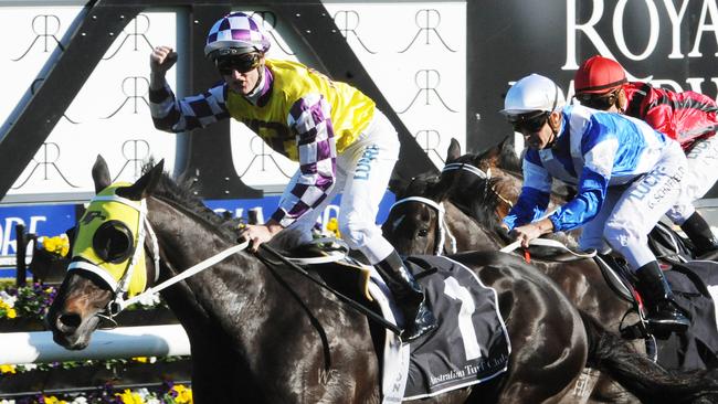 Zac Purton won the 2014 Doncaster Mile on Sacred Falls. Picture: Simon Bullard