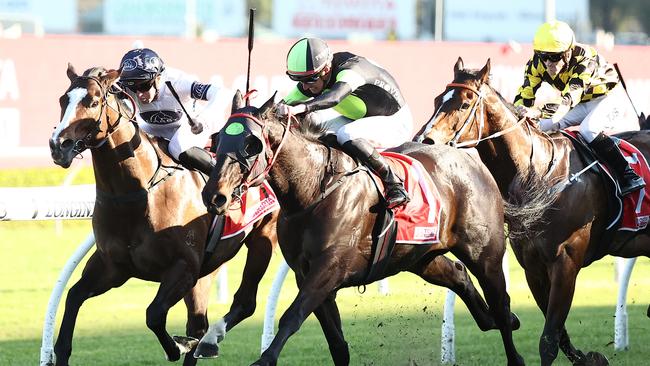 Private Eye (middle) is in the paddock. Picture: Jeremy Ng-Getty Images