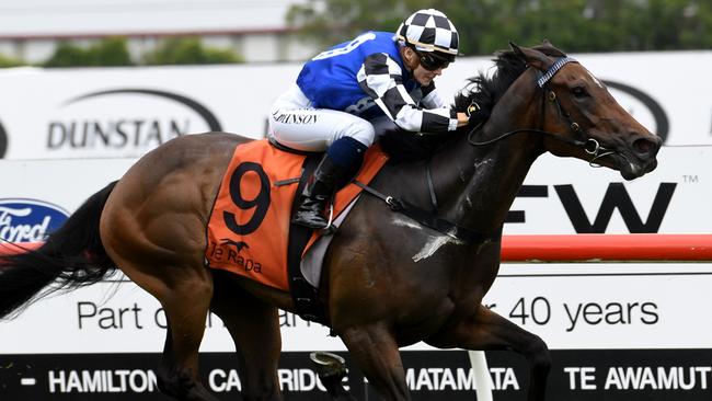 Promising filly Wolverine contests the Group 1 Flight Stakes. Picture: Race Images