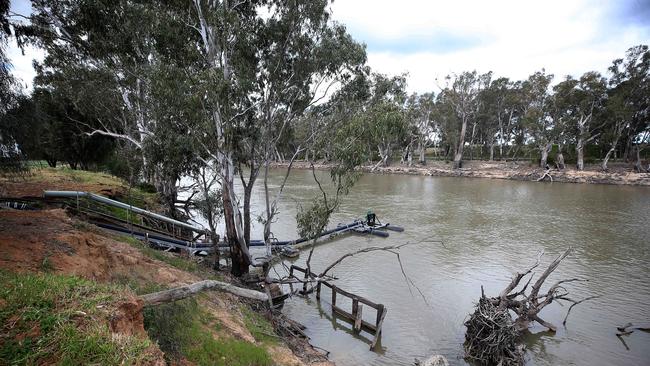 River banks along the Barmah Choke have eroded due to high flows. Picture: Yuri Kouzmin