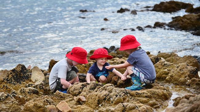 The kinder kids use items they find in nature to develop communication, literacy and numeracy skills. Picture: Nicki Connolly