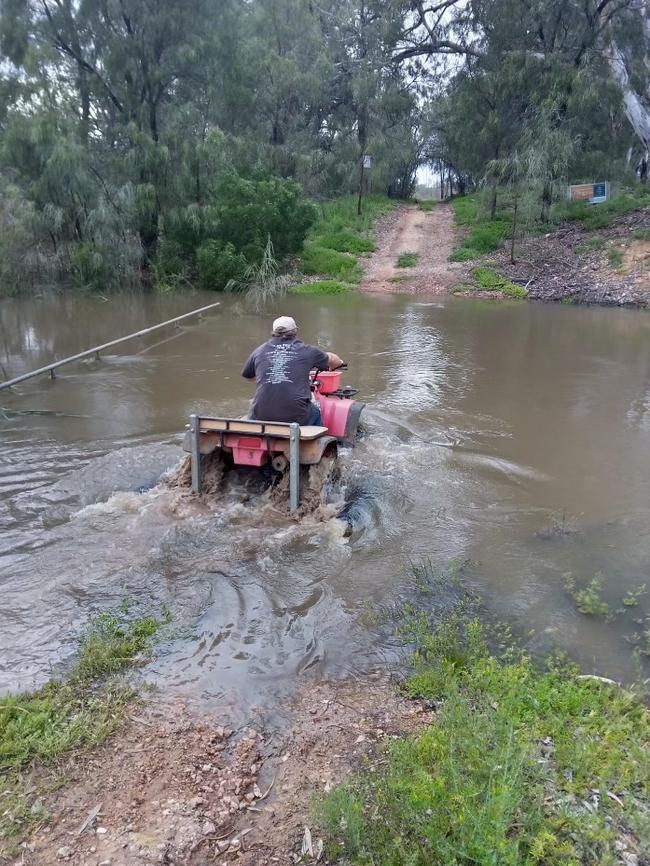 Rescuers attempting to save kangaroos surrounded by rising floodwaters. Picture: Kerry Machado