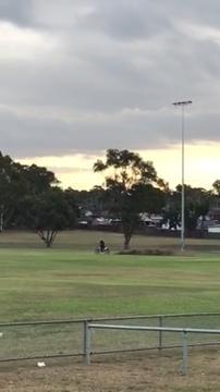 Man damages oval with dirt bike