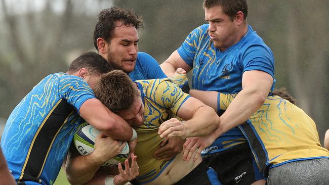 Ollie Callan gets tackled during a Western Force training session. Picture: Getty Images