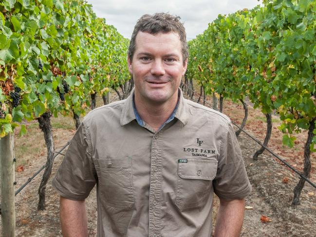 Winemaker Richard Angove. Picture Kevin Daly