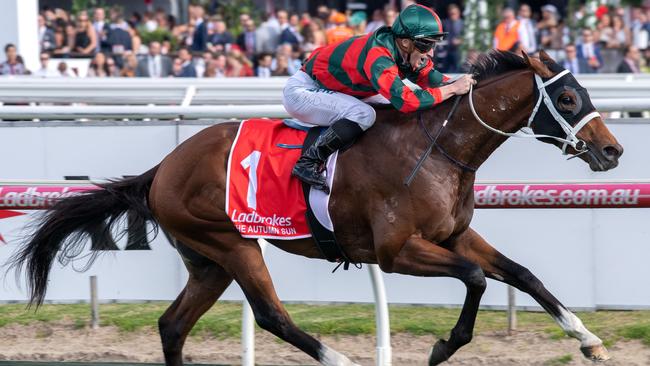 The Autumn Sun won the 2018 Caulfield Guineas. Picture: Jay Town