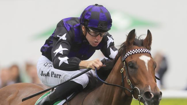 Josh Parr combines with Big Parade to win the Heineken Handicap at Royal Randwick.