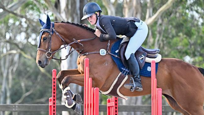 Alison and Stan the ex-Grafton racehorse