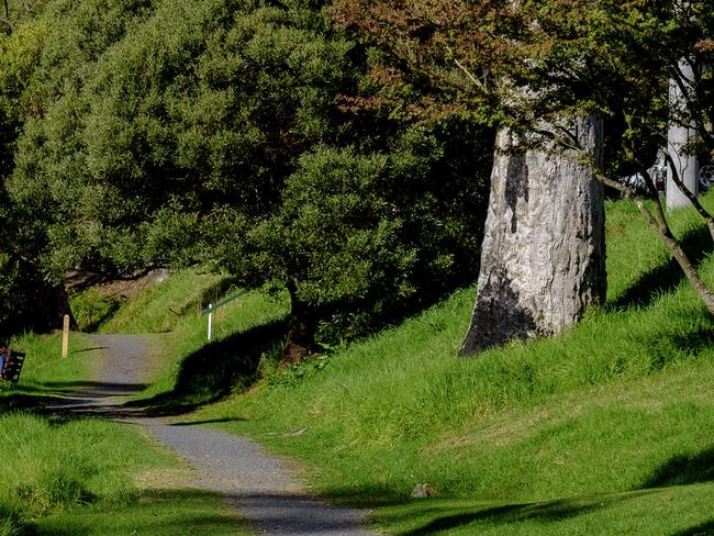 Generic photo of  autumn themed images  in Warburton on Thursday 25 April 2019. Photo Luis Enrique Ascui