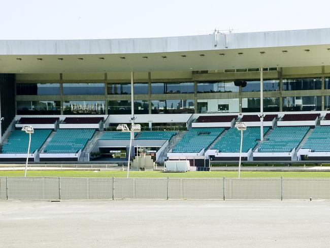 Injuries at Wentworth Park are generally less common when compared to other tracks around NSW because the higher grade dogs race there.