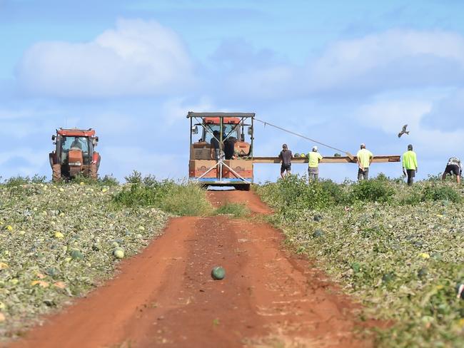 Generic farm work