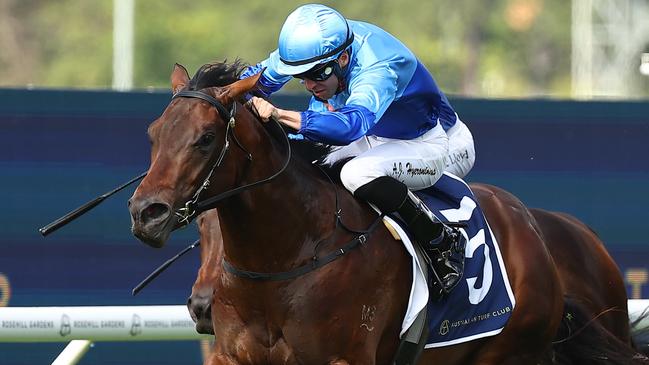 Adam Hyeronimus was confident Ikasara would win early in the race. Picture: Jeremy Ng/Getty Images