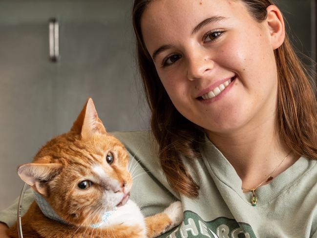 Julia Allen pose for as photo with Male cat 'Big Ginge' at Northside vet hospital, Mona Vale Road Terry Hills on Monday, 27 July 2020.(Image / Monique Harmer)