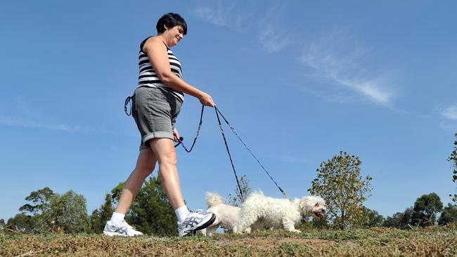 There’s also plenty of 24-hour dog parks in the west. Picture: FILE/ Luis Enrique Ascui.