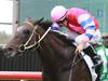 Warwick Farm preview: Jade to revel in the rain