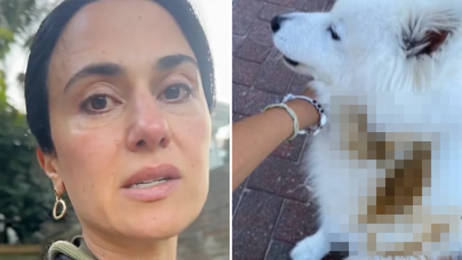 Dog walker calls out vile act at famous Sydney beach