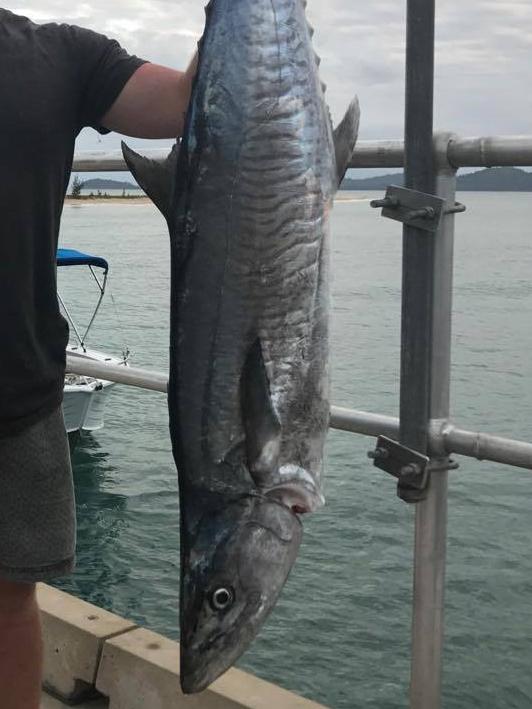 The Mackay fishing community is reeling with anger in anticipation of a possible additional restrictions on the popular Spanish mackerel.