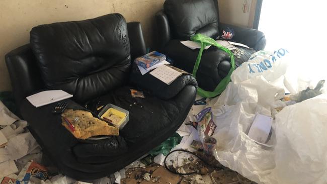 Rubbish in the living room. Photo: BIO Busters