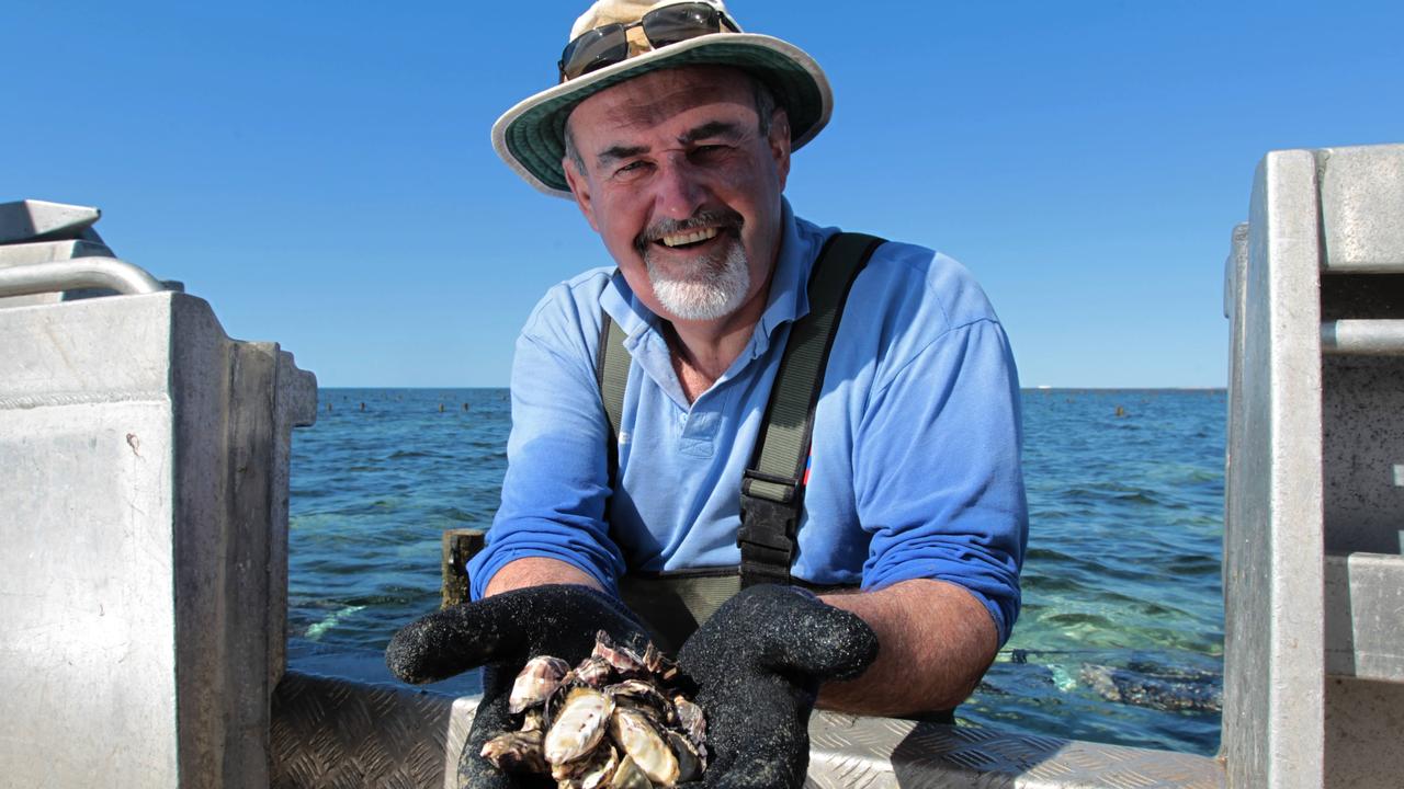 Stansbury oyster farmer Steve Bowley has lost more than $10,000 since being forced to close