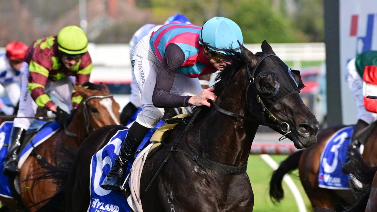 Jenni, Brightside battles steel Antino for Toorak