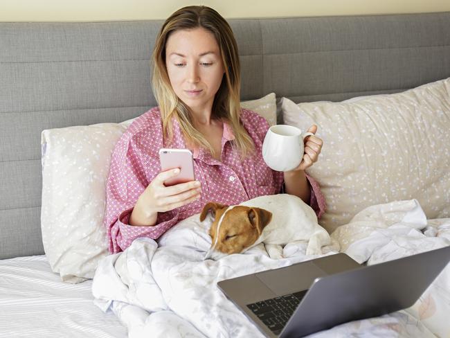 Close up shot of young woman working remotely from home in her bed on laptop due to coronavirus quarantine. Freelancer female with her jack russell terrier puppy. Copy space, background,